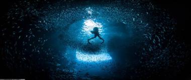 智能运动竞技平台